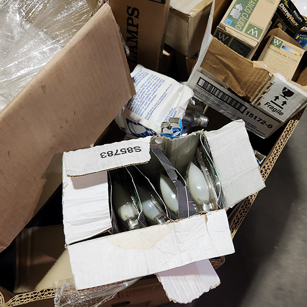 Assorted Light Bulbs 01 Gaylord