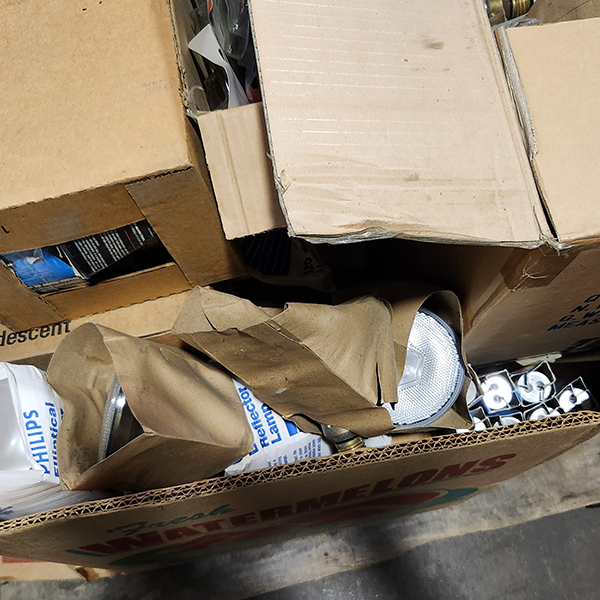 Assorted Light Bulbs 01 Gaylord