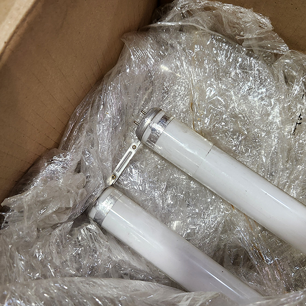 Assorted Light Bulbs 01 Gaylord